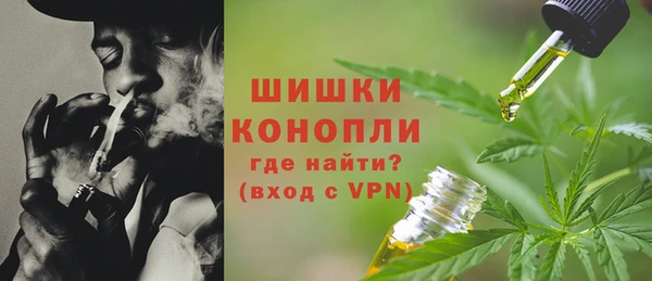 ПСИЛОЦИБИНОВЫЕ ГРИБЫ Баксан