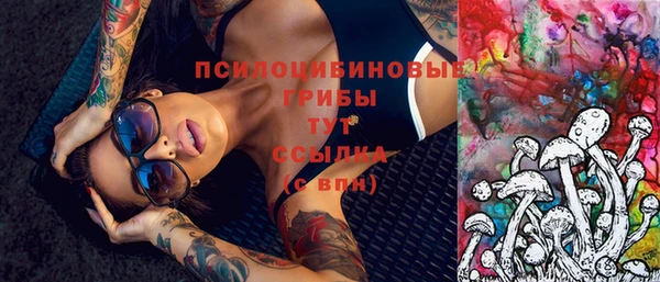 ПСИЛОЦИБИНОВЫЕ ГРИБЫ Баксан