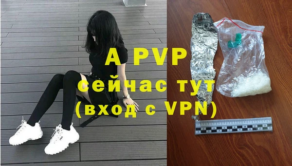 ПСИЛОЦИБИНОВЫЕ ГРИБЫ Белокуриха