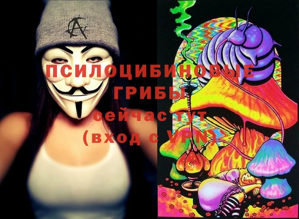 ПСИЛОЦИБИНОВЫЕ ГРИБЫ Белокуриха