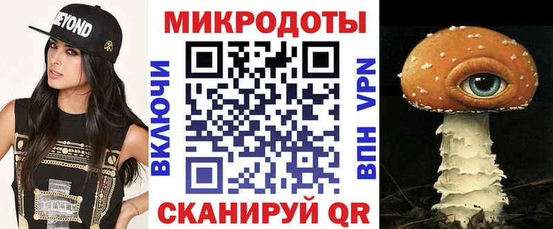 OMG вход  Сегежа  Галлюциногенные грибы Psilocybe 