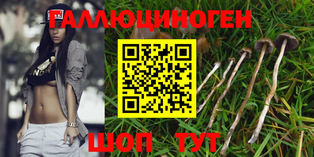 Галлюциногенные грибы MAGIC MUSHROOMS  Вход с VPN  Сегежа  Псилоцибиновые грибы прущие грибы 