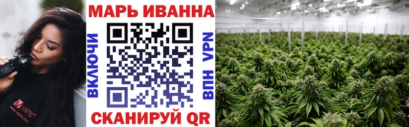 Конопля марихуана Сегежа